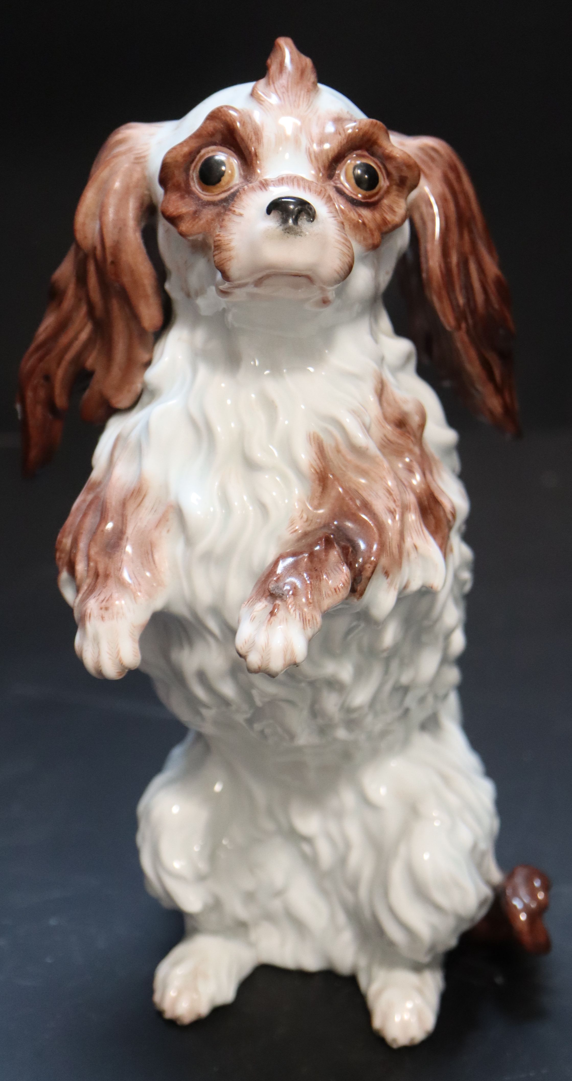 A Meissen model of a Bolognese Terrier, late 19th century, 25.25cm